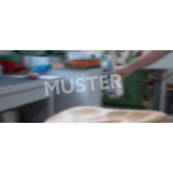 Станок для сборки стоек HOMAG FRAMETEQ N-100 279517